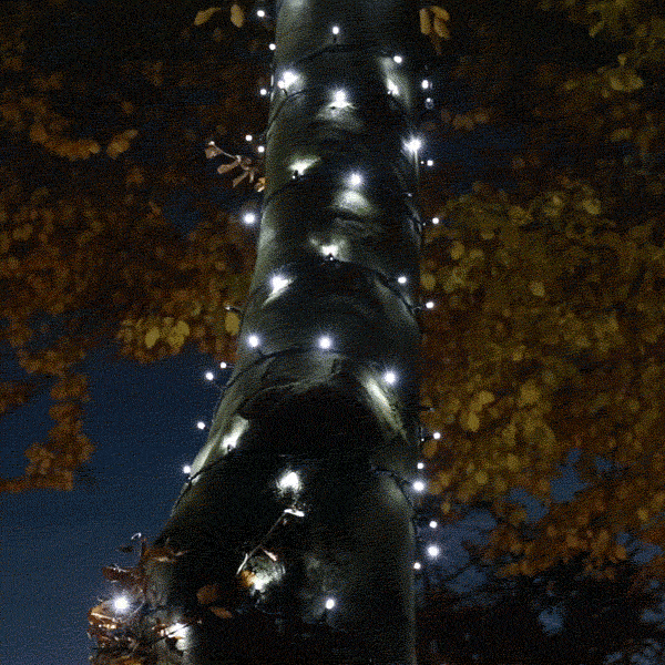 String Led Gif LED String Lights - 10m (Flash) For Hire - Stage Lighting Services